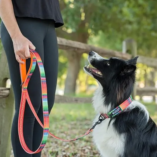 Leash Boss 6ft Dog Leash | Ultra Comfort Double-Thick Soft Padded Handle | Reflective Leash for Large Dogs, Medium Dogs | Heavy Duty Leash for Large Breed Dogs | Nylon Leash for Small Dogs/Puppies