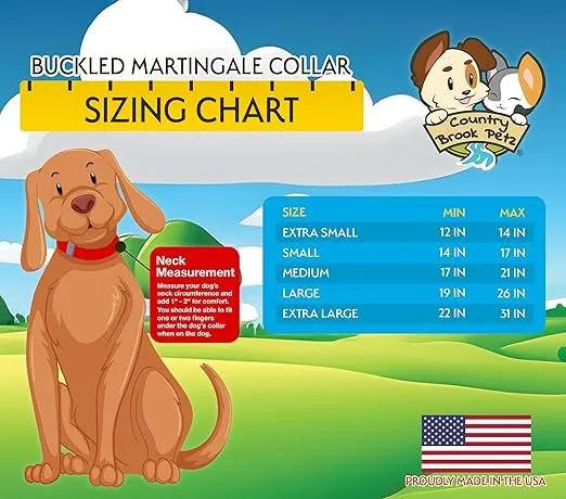 Country Brook Petz Heavy Duty Nylon Adjustable Martingale Dog Collar with Deluxe Buckle for Small Medium Large Breeds - 30+ Vibrant Color Options (3/4 Inch, Small, Ocean Blue)