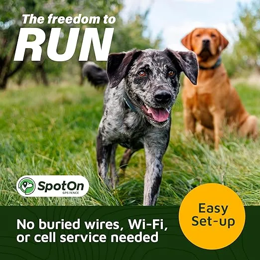 SpotOn Longer Battery Life, GPS Dog Fence, App Based Wireless Dog Fence Collar, Waterproof, Accurate & Reliable GPS Dog Fence System, Virtual Dog GPS Tracker for All Terrain Small/All Carriers