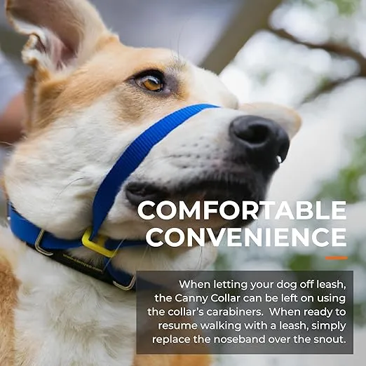 Canny Collar No-Pull Dog Collar - The Kind, Gentle Head Collar for Dogs| Dog Training Tool for Easier Dog Walking | Blue - Size 3