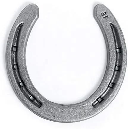 Steel Horseshoes Set for Horses, Crafts, Decorations and Backyard Games - Size 0 - R3-F - Sand Blasted 20 Shoes
