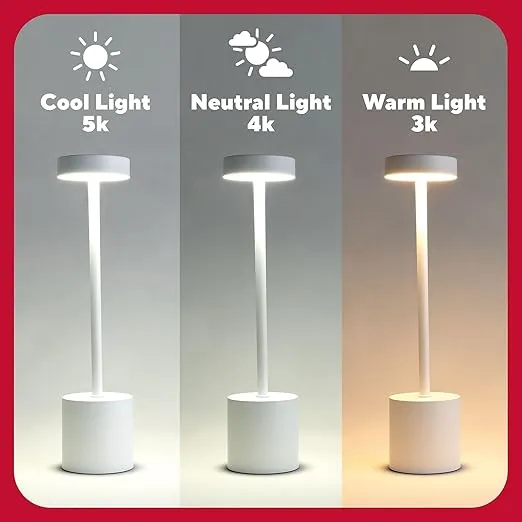 TRU RED LED Desk Lamp, 13.5-inch, White Metal (TR61986)