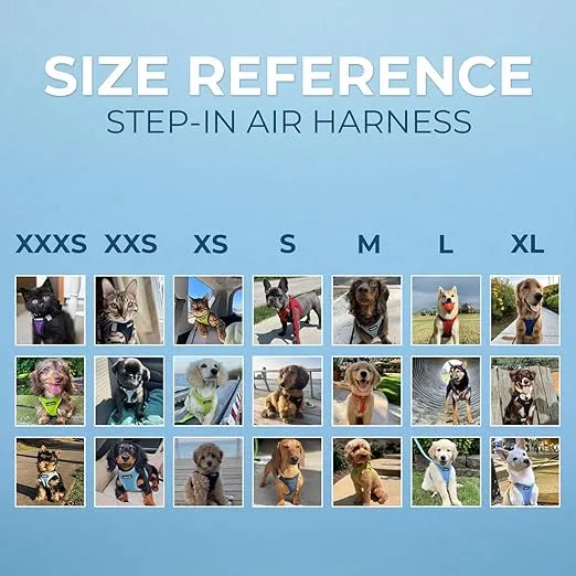 Voyager Step-In Air Dog Harness - All Weather Mesh, Reflective, No Pull Harness for Small, Medium Dogs, Cats - Secure with Hook & Loop Fastener, Buckle, Double D-Rings - Orange/Black Trim, M