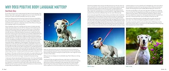 Dogtography: A Knock-Your-Socks-Off Guide to Capturing the Best Dog Photos on Earth