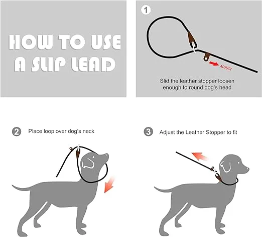 Fida Durable Slip Lead Dog Leash, 6 FT x 1/2" Heavy Duty Loop Comfortable Strong Rope Leash for Large, Medium Dogs, No Pull Pet Training with Highly Reflective, Blue