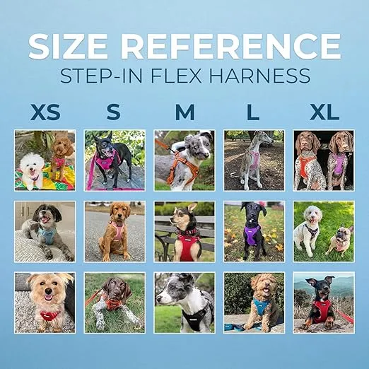 Best Pet Supplies Voyager Adjustable Dog Vest Harness Breathable No Pull Harness for Small, Medium, Large Dogs, Heavy Duty Harness for Walking, Jogging, Easy Step-in, Reflective Stripes - (Red), M