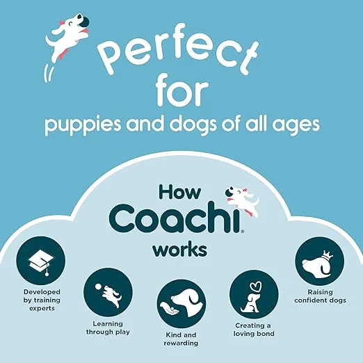 Coachi Canvas Training Dummy, Floats, Long Distance Throwing, Classic Retrieval Toy, Gundog and Puppy Training. Dog Accessory. Suitable for Medium Dogs and Puppies (Size M, Lime)