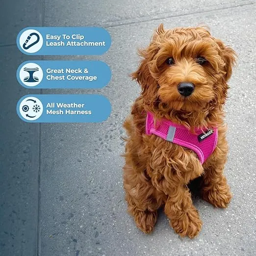 Voyager Step-in Air Dog Harness - All Weather Mesh, Reflective, No Pull Harness for Small, Medium Dogs, Cats - Secure with Hook & Loop Fastener, Buckle, Double D-Rings - Fuchsia, S