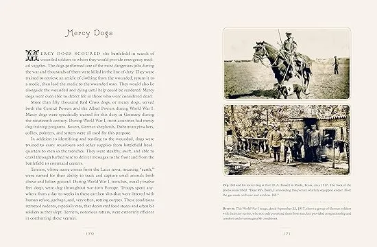 Love Immortal: Antique Photographs and Stories of Dogs and Their People