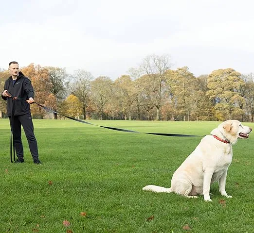 30ft Long Leash for Dogs - Long Line Dog Leash for Training Recall/Commands at Distance - Nylon, Heavy Duty - Ideal for Large & Small Breeds