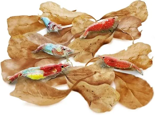 SunGrow 50 Pcs Mini Catappa Indian Almond Leaves for Shrimp Aquariums, Lowers Your Tank's pH and Pet Stress, Creates Better Environment, Unique Practical Decor