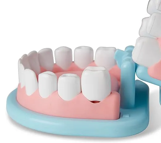Melissa & Doug Super Smile Dentist Kit With Pretend Play Set of Teeth And Dental Accessories (25 Toy Pieces) - Pretend Dentist Play Set, Dentist Toy, Dentist Kit For Kids Ages 3+