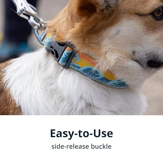 Ruffwear, Crag Dog Collar, Reflective and Comfortable Collar for Everyday Use, Rising Wave, 20"-26"