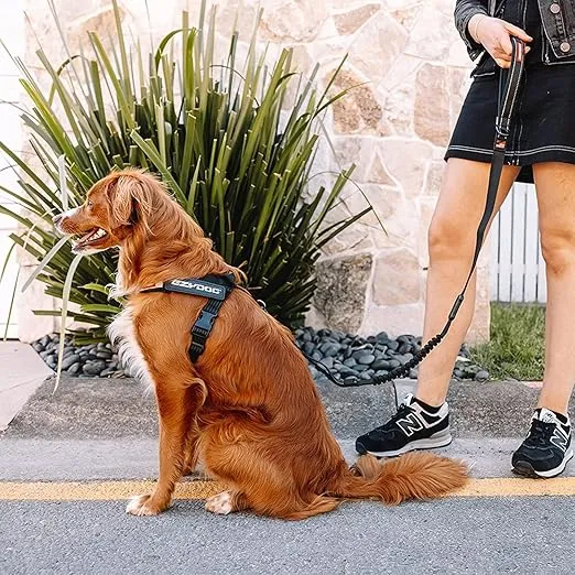 EZYDOG Express Dog Harness | Dog Harness for Small, Medium and Large Dogs, Angled Ergonomic Design, Moulded Grip Handle, Easy Release Side Buckle (M, Black)