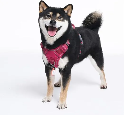 Pawaii Dog Harness for Small Dogs, Dog Harness with Pet ID Tag, No Choke Dog Harness, Adjustable Soft Padded Pet Vest with Easy Control Handle
