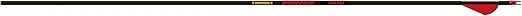 Gold Tip Hunter Arrows with Raptor Vane (Pack of 6)