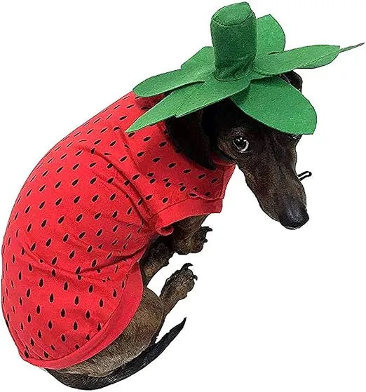 Midlee Strawberry Dog Halloween Costume (Medium)