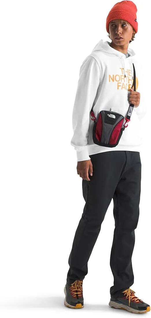 THE NORTH FACE Men's Half Dome Pullover Hoodie (Standard and Big Size)