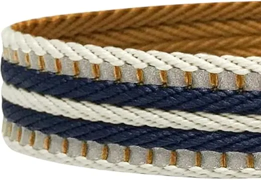 Blueberry Pet 4 Colors 3M Reflective Multi-Colored Stripe Martingale Safety Training Dog Collar, Olive and Blue-Gray, Large, Heavy Duty Adjustable Collars for Dogs