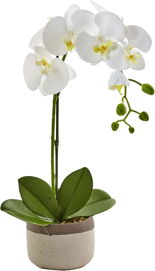 Nearly Natural Phalaenopsis Orchid in Ceramic Pot