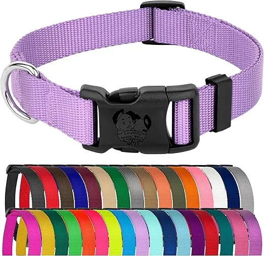 Country Brook Petz - American-Made Dog Collar for Large, Medium, and Small Dogs and Puppies - Deluxe Heavy Duty Nylon in 33 Dazzling Colors (Extra Small, 3/8 Inch Wide, Lavender)