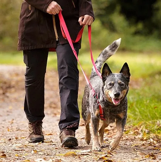 HALTI Double-Ended Leash for Dogs - Neoprene-Padded, Easy to Use, Reflective, Adjustable Lengths, Ideal Dog Leash for Hands Free Running & Training. Suitable for Medium and Large Dogs (Size L, Black)
