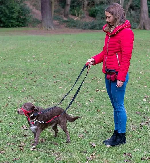 HALTI Control Leash - Multifunctional Double-Ended Dog Leash with 2 Handles, Ideal for Anti-Pulling Dog Training, Lightweight & Durable, Suitable for Dogs & Puppies (Size Large, Black, 2m)