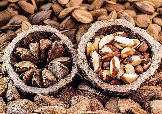Food to Live - Dry Roasted Brazil Nuts with Himalayan Salt, 1 Pound – Oven Roasted, Lightly Salted, No Oil Added, Whole. Vegan, Kosher, Bulk.