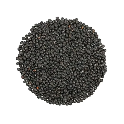 Food to Live Organic Black Lentils, 10 Pounds – Non-GMO, Whole Dry Pulses, Raw, Sproutable, Kosher, Vegan, Bulk Legumes, Black Masoor Daal. Rich in Thiamin, Folate, Protein. Great for Tacos, Soups