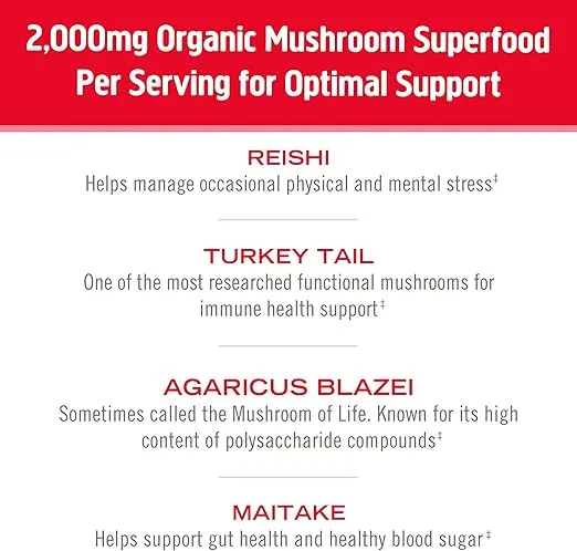 OM Mushroom Superfood Immune Blend Mushroom Powder Superfood Supplement, 7.05 Ounce Pouch, 100 Servings, Mushroom Blend, Reishi & Turkey Tail; Daily Immune Support Supplement
