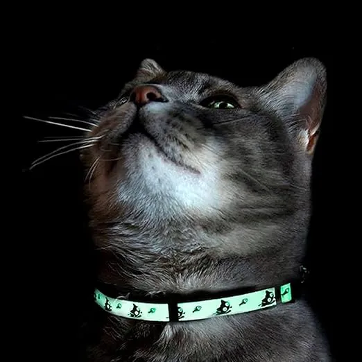 Pawtitas Glow in The Dark Cat Collar with Safety Buckle and Removable Bell Cat Collar Kitten Collar Purple Cat Collar