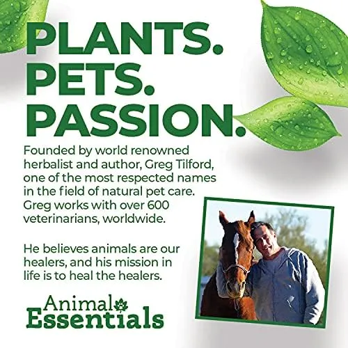 Animal Essentials Detox Blend - Liver Support for Dogs & Cats, Liver Supplement, Herbal Formula, Human Grade Herbs, Animal Wellness Tonics - 2 Fl Oz