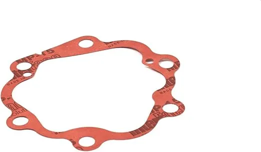 Briggs and Stratton A2069GS Gasket - Pump Head
