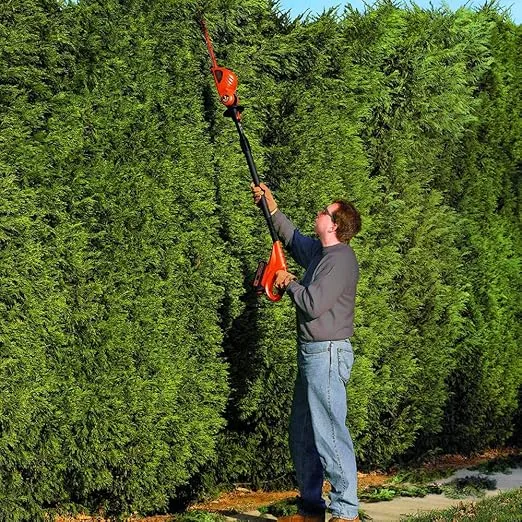 BLACK+DECKER 20V MAX Cordless Pole Hedge Trimmer, 18-Inch (LPHT120)