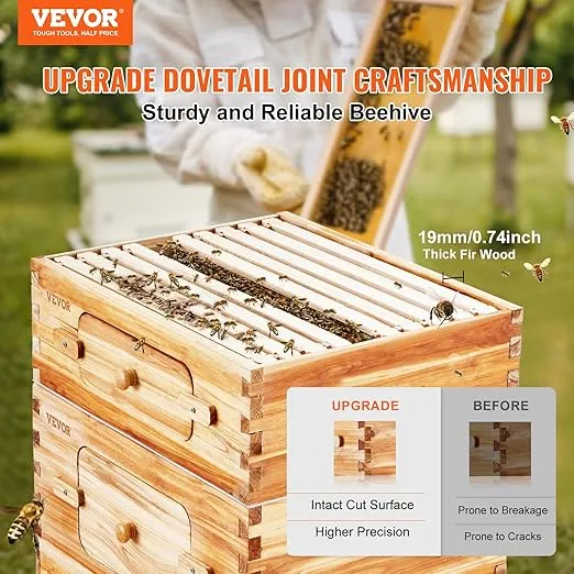 VEVOR 10 Frame Bee Hive, Beeswax Coated Fir Wood, Bee Hives Starter Kit,2 Deep + 2 Medium Bee Boxes Langstroth Beehive Kit, Transparent Acrylic Windows with Foundations for Beginners Pro Beekeepers