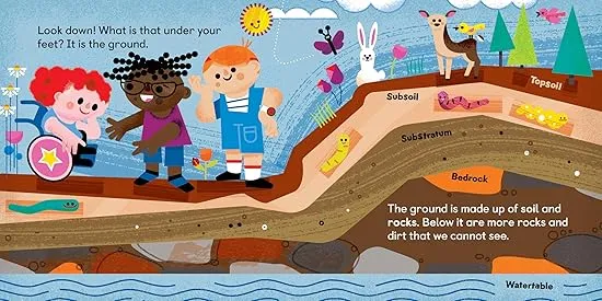 All About Nature: Animals, Insects, Plants, and More! (The All About Picture Book Series)