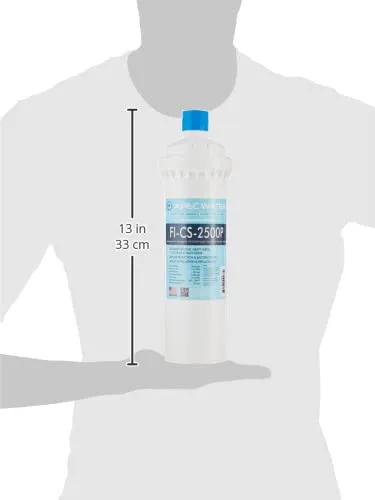 APEC Water Systems FI-CS-2500P Replacement Filter for CS-2500P Water Filtration System