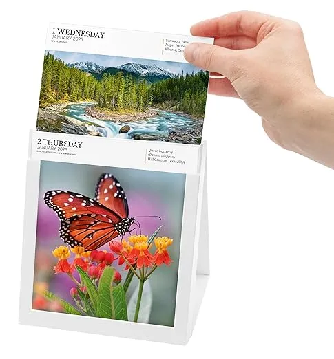 Audubon Nature Page-A-Day® Gallery Calendar 2025
