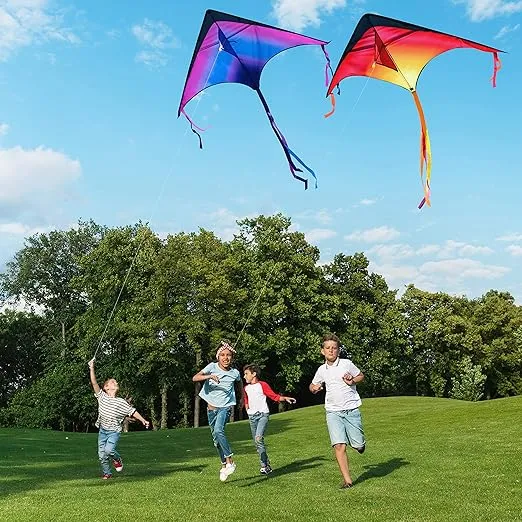 JOYIN 3 Packs Large Delta Kite Orange, Green and Purple, Easy to Fly Huge Kites for Kids and Adults with 262.5 ft Kite String, Large Delta Beach Kite for Outdoor Games and Activities