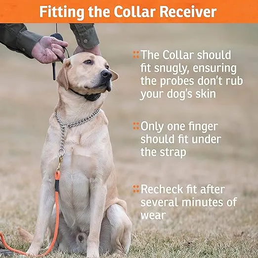 SportDOG Brand SportTrainer 575 Remote Trainer - Bright, Easy to Read OLED Screen - 500 Yard Range - Waterproof, Rechargeable Dog Training Collar with Tone, Vibration, and Static, Orange