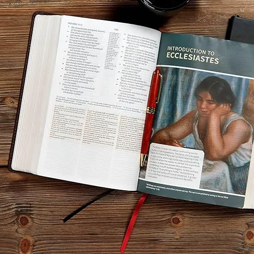 CSB Study Bible, Brown Genuine Leather, Red Letter, Study Notes and Commentary, Illustrations, Articles, Word Studies, Outlines, Timelines, Easy-to-Read Bible Serif Type