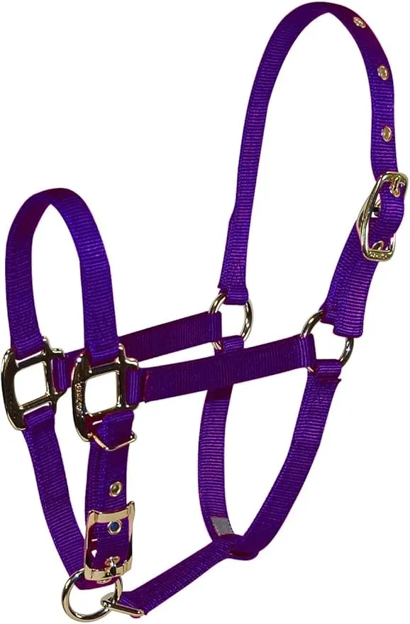 Hamilton Pet & Equine Hamilton 3/4" Nylon Adjustable Chin Horse Halter, Weanling, Purple