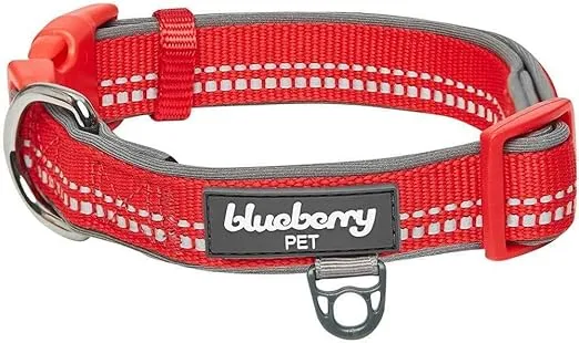Blueberry Pet Soft & Safe 3M Reflective Neoprene Padded Adjustable Dog Collar - Red Pastel Color, Small, Neck 12"-16"