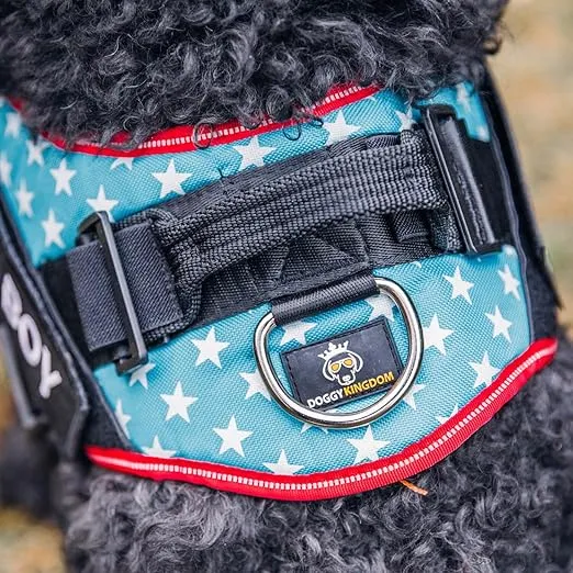 Personalized No-Pull Dog Harness with Name Patch, Padded, Adjustable and Reflective Service Dog Vest, Easy On Dog Harnesses for Medium Large Small Sized Dog Red, M