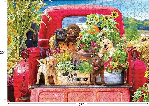 RoseArt - Kodak Premium - Stowaways - 1000 Piece Jigsaw Puzzle for Adults