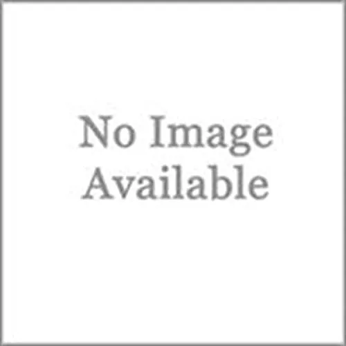 Guardian 48" x 48" Aluminum 2,600 lb Pallet Jack Loading Dock Plate