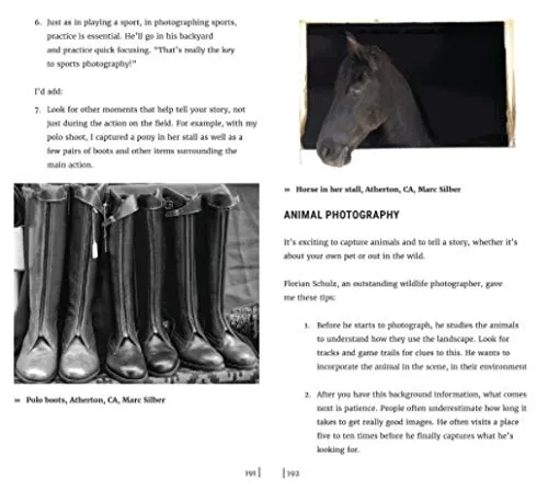 The Secrets to Creating Amazing Photos: 83 Composition Tools from the Masters (Photography Book)