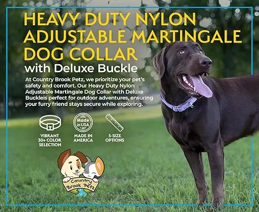 Country Brook Petz Heavy Duty Nylon Adjustable Martingale Dog Collar with Deluxe Buckle for Small Medium Large Breeds - 30+ Vibrant Color Options (1 Inch, Large, Orange)