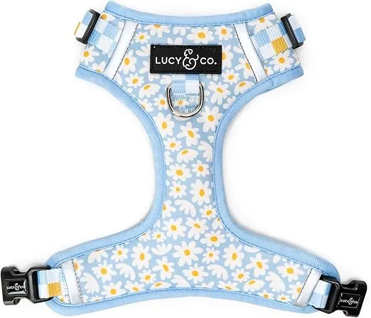 Lucy & Co. The Simply Splendid No-Pull Dog Harness – Size Small – Vest to Stop Pulling & Walk Easy – Comfortable Leash Training Product w/Adjustable Chest & Neck Straps