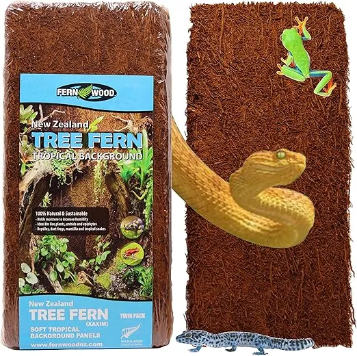 Fernwood Vivarium and Terrarium Background Panels- Made from New Zealand Tree Fern | Natural and Fibrous | for Reptile Tank Backgrounds and Vivarium Backgrounds| 12x6x.06